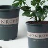 Chậu Trồng Cây MONROVIA 7GL Lớn Sự Lựa Chọn Hoàn Hảo (1)