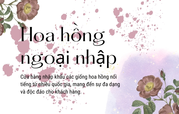 KỸ THUẬT TRỒNG HOA TẠI ROSSEGIDS (2)