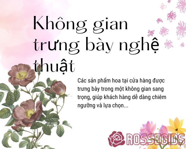 THƯ VIỆN HOA HỒNG TẠI ROSSEGIDS