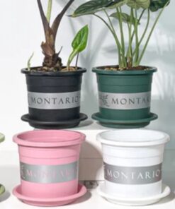 Chậu Nhựa Trồng Cây VIETPOT MONTARIO 19 (1)