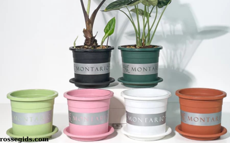 Chậu Nhựa Trồng Cây VIETPOT MONTARIO 19 (1)