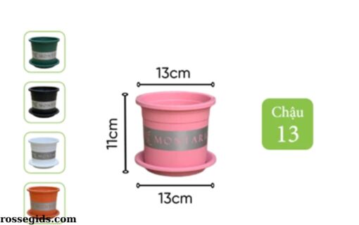 Chậu Nhựa Trồng Cây VIETPOT MONTARIO 19 (2)