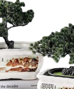 Chậu sứ trồng cây bonsai (2)